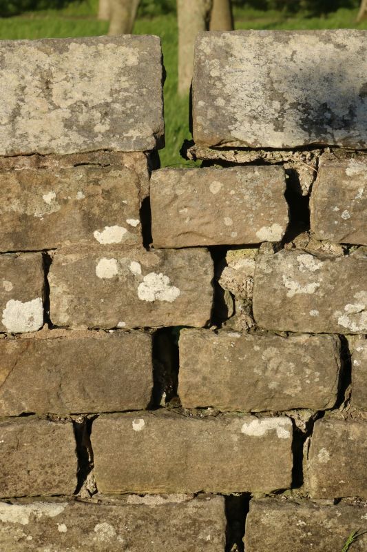 Stone Wall Repair in Pacific Grove, CA